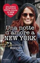 una notte d'amore a new york