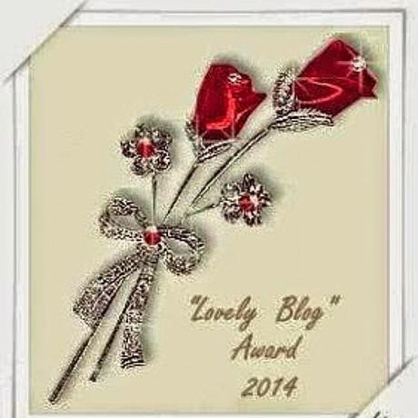 lovely blog award 2104