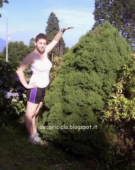 Piccoli virgulti crescono