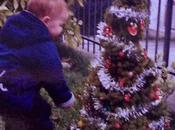 Piccoli virgulti crescono