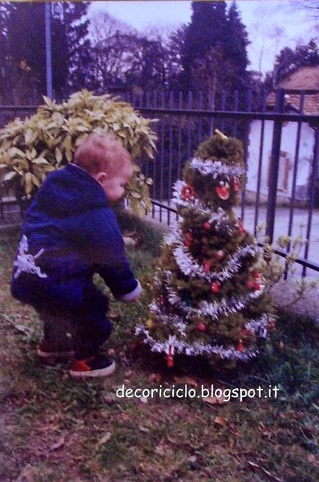 Piccoli virgulti crescono