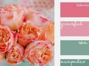 blog cambiando