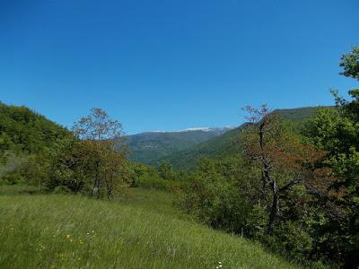 Grande cascata e dintorni