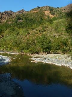 La natura sorprende sempre...