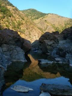 La natura sorprende sempre...