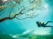 Foto, parco sottomarino