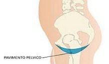 Pavimento pelvico