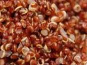 Ricetta quinoa, ceci, limone zenzero