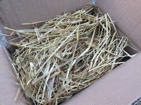 Alla scoperta degli store ecobio: BioVeganShop!