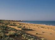 comitato sconfigge mostro spiaggia