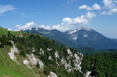 GOLICA: la montagna dei narcisi