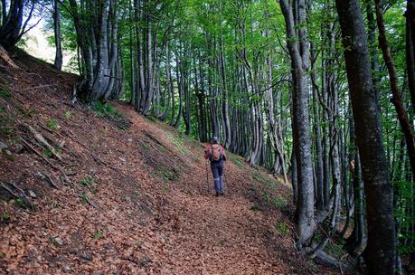 GOLICA: la montagna dei narcisi