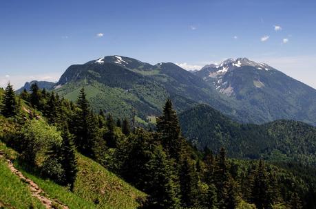 GOLICA: la montagna dei narcisi