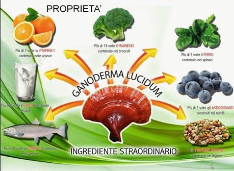 Reishi e le sue proprietà antitumorali