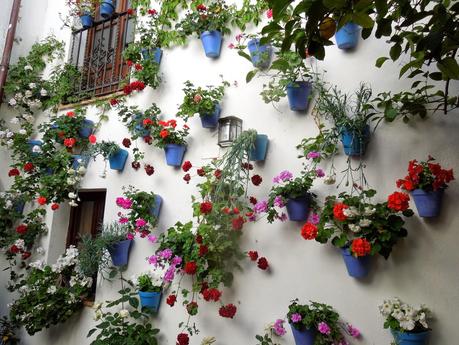 Cordoba: la Fiesta de los Patios