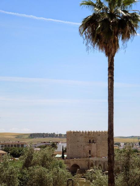 Cordoba: la Fiesta de los Patios