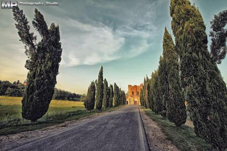 L'abbazia abbandonata di San Galgano!