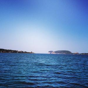 10433451_10154216488690554_105321544_o