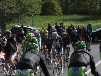 orata con cicoria: un “giro” in Val d’Agri