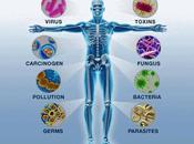 Reishi attività farmacologiche