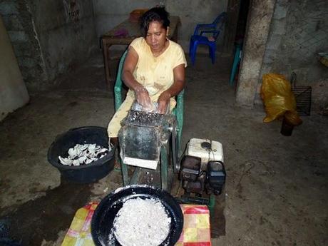 L'olio di cocco lavorato in Indonesia