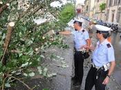 Napoli: cadono alberi causa maltempo