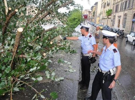 Maltempo - cade albero in via Caracciolo