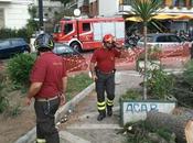 Video. L’Albero uccise Vomero stato segnalato Pompieri risposero: “Non nostra competenza”