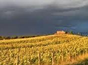 Pioggia, diluvio, tempesta...