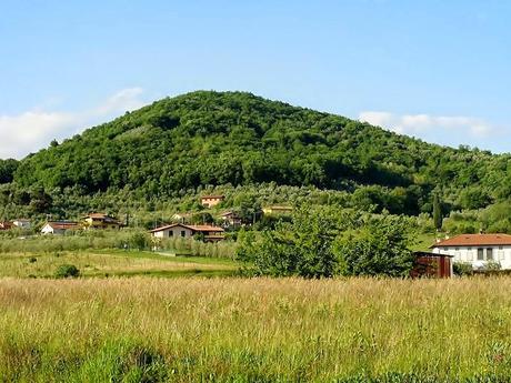 Visite guidate nel Padule di Fucecchio