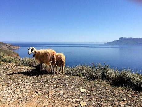 Balos - Creta, Grecia