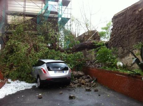 10411805_10202613537355905_8701065973438545776_n