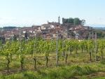 A Montemagno tra le colline del Ruchè