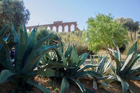 Trinacria 8: La valle dei templi