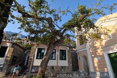 NOCELLE :  Una storia che sta andando via …