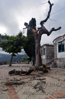 NOCELLE :  Una storia che sta andando via …