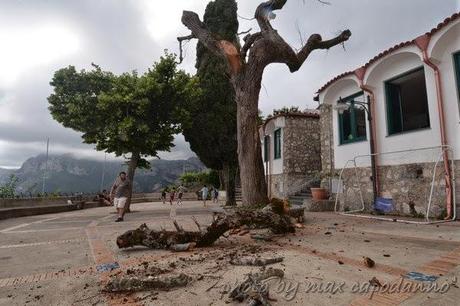 NOCELLE :  Una storia che sta andando via …