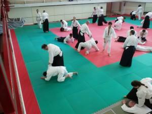 aikido tendodoryu seminario in Italia