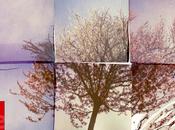 luglio: IMPOSSIBLE FILM CREATIVITY NIKON SCHOOL