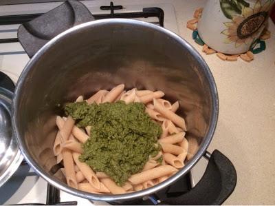 Penne di kamut al pesto