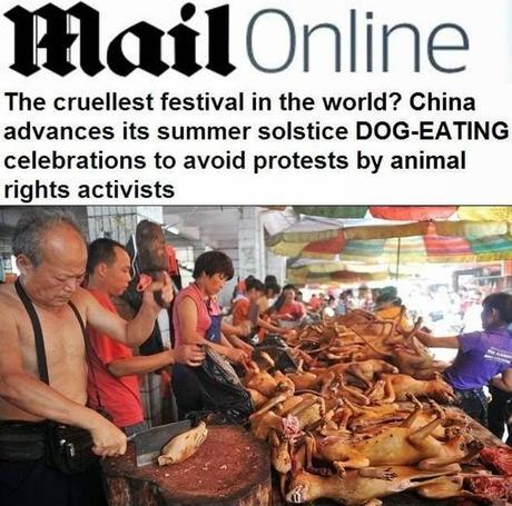 Il festival della carne di cane in Cina. Il festival della carne di cane in Cina.