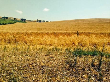 La Sicilia. La scuola di Anna Lanza Tasca e quel pezzo d'Italia che non ti dimentichi facilmente.