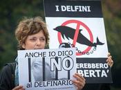 Domani manifestazione contro delfinario Rimini