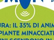 Parte progetto CSMON-LIFE Citizen Science MONitoring
