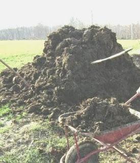 Poesia: se doparti lo fai per bene, alla fine vedrai conviene!