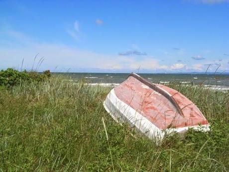 vagare a caso lungo la costa: Gilleleje, Dronningmølle e Hornbaek