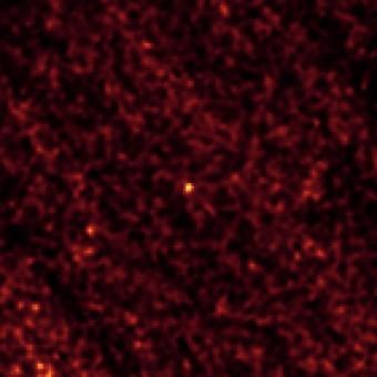 Immagine dell’asteroide 2011 MD (al centro) ripresa dal telescopio spaziale Spitzer nel febbraio 2014. Crediti: NASA