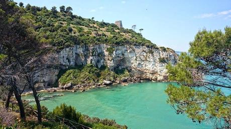 #orotralemani, Pinuccio e Sabino entusiasti delle bellezze del #Gargano