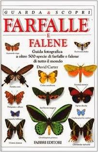 Farfalle e Falene, Libro di David A. Carter