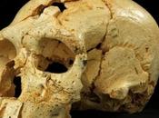 nuovo cranio Neanderthal nella Sima Huesos Atapuerca sulla rivista Science